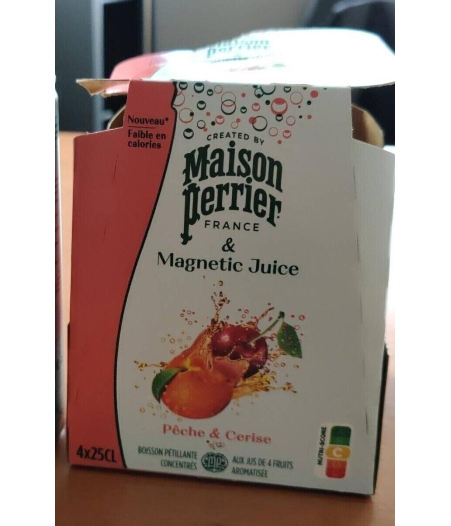 MAGNETIC JUICE 4 X 25 CL