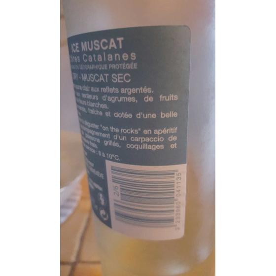 ICE MUSCAT 1