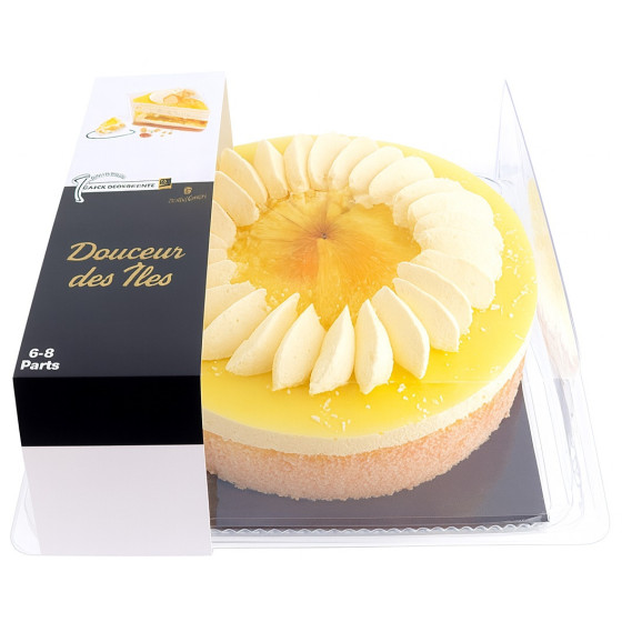 GATEAU DOUCEUR DES ILES LES CREATION 700G