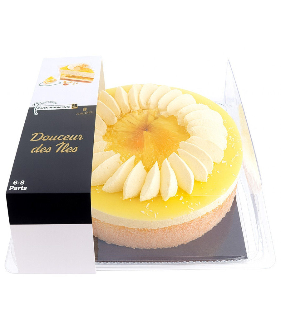 GATEAU DOUCEUR DES ILES LES CREATION 700G