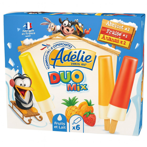 GLACE DUO MIX FRUITS ET LAIT ADELIE 261G