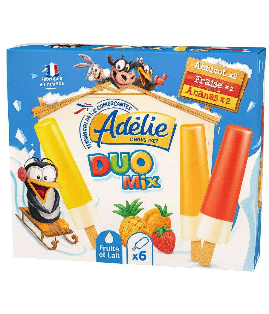 GLACE DUO MIX FRUITS ET LAIT ADELIE 261G