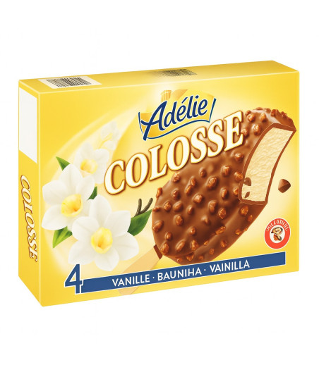 COLOSSE VANILLE AMANDES ENROBAGE CHOCOLAT AU LAIT ADELIE 480G