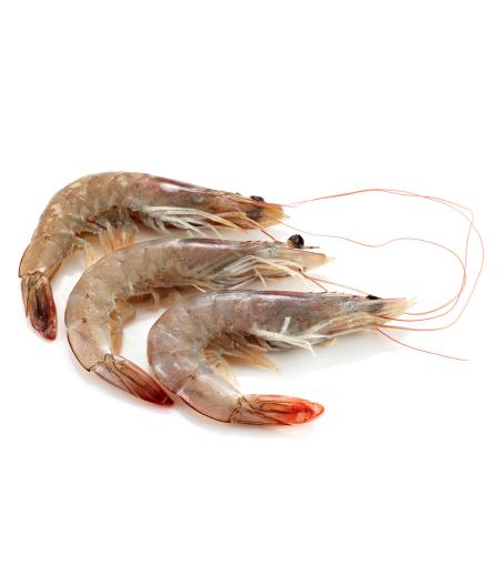 CREVETTE CRUE DECONGELEE CALIBRE 20/30 ELEVAGE EQUATEUR COLIS 2 KG PACK DE 2