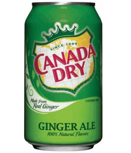 CANADA DRY GINGER ALE 33CL