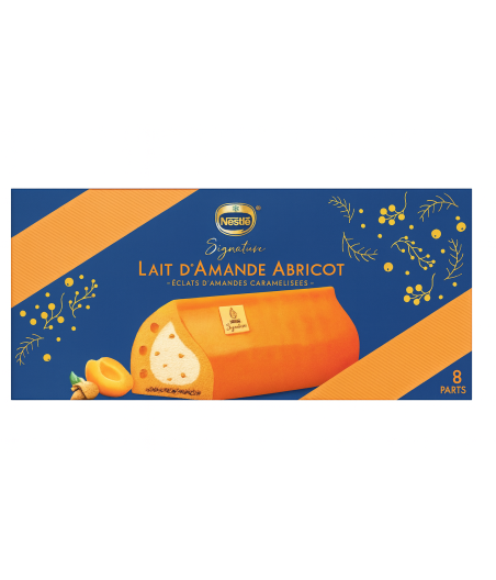 BUCHE GLACE NESTLE 8 PART