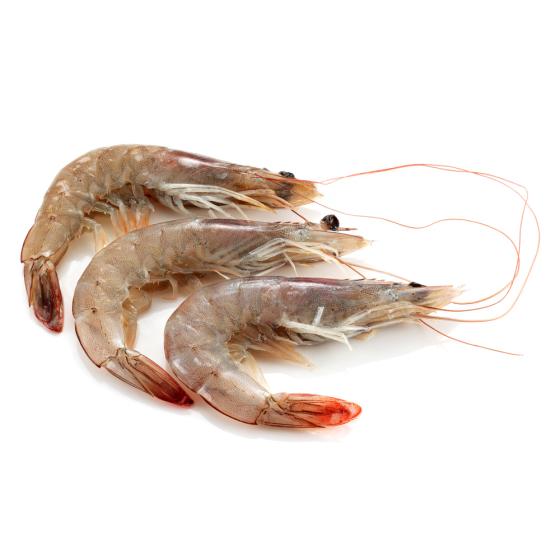 BOUQUET CRU FRAIS PECHE EN ATLANTIQUE NORD-EST COLIS 1 KG