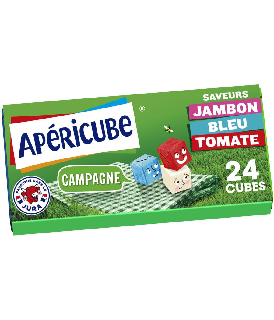 APERICUBE CAMPAGNE 24 CUBES 125G APERICUBE CAMPAGNE 24 CUBES 125G