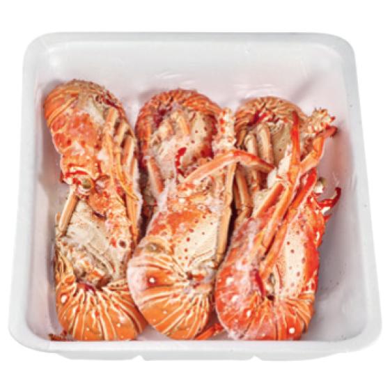 LANGOUSTE CUITE CALIBRE 575/800 PECHEE EN ATLANTIQUE CENTRE-OUEST