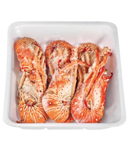 LANGOUSTE CUITE CALIBRE 575/800 PECHEE EN ATLANTIQUE CENTRE-OUEST