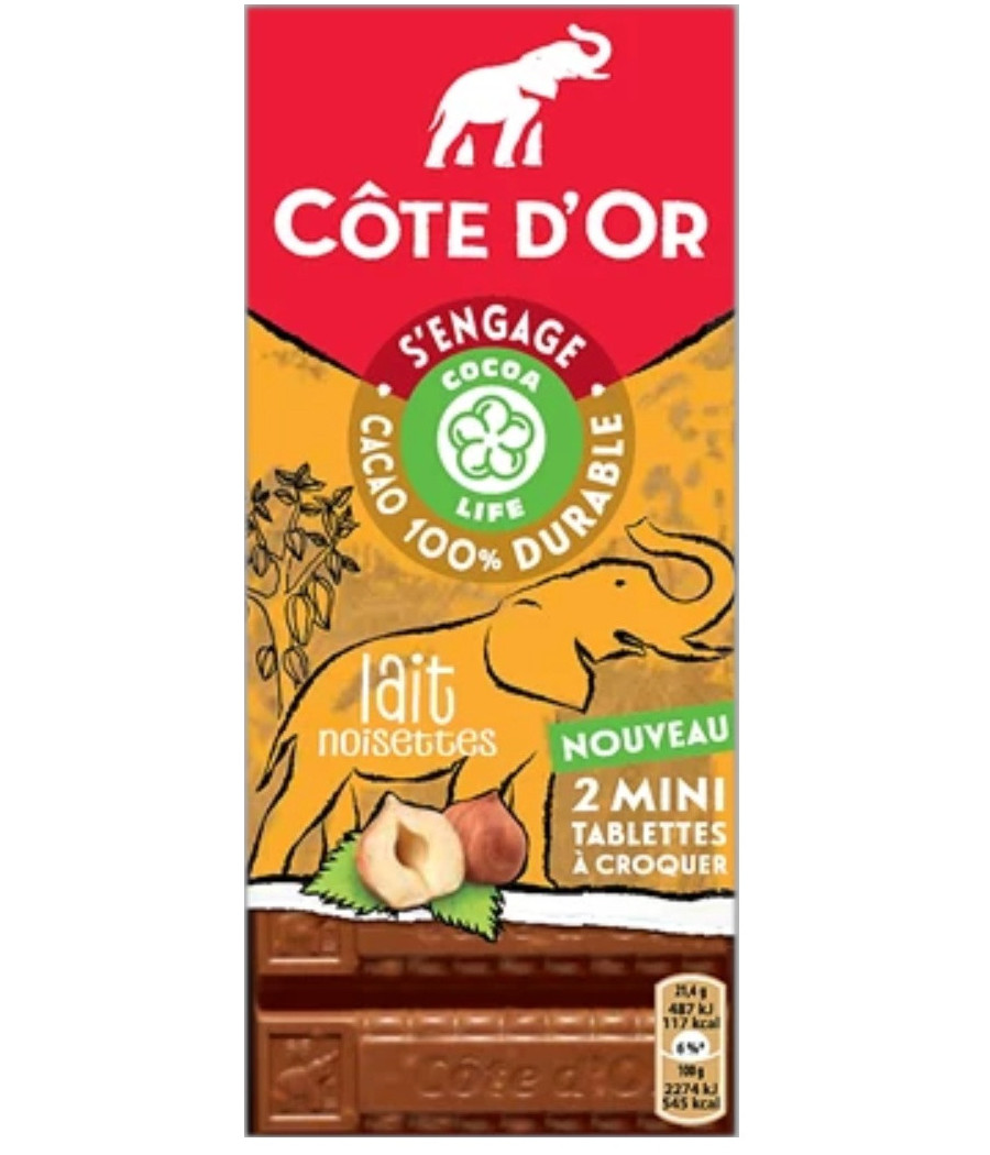 LOT DE 2 MINI TABLETTES CHOCOLAT AU LAIT NOISETTES COTE D'OR 2X75G
