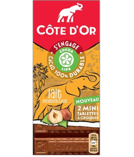 LOT DE 2 MINI TABLETTES CHOCOLAT AU LAIT NOISETTES COTE D'OR 2X75G