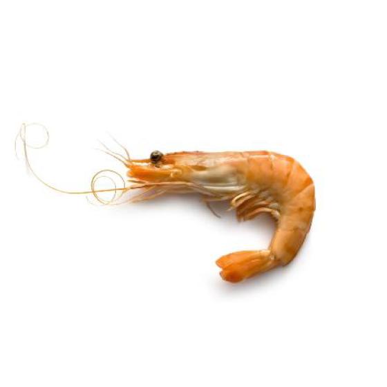 CREVETTE CUITE SOUS ATMOSPHERE CALIBRE 60/80 ELEVAGE EQUATEUR COLIS 2 KG PACK DE 2