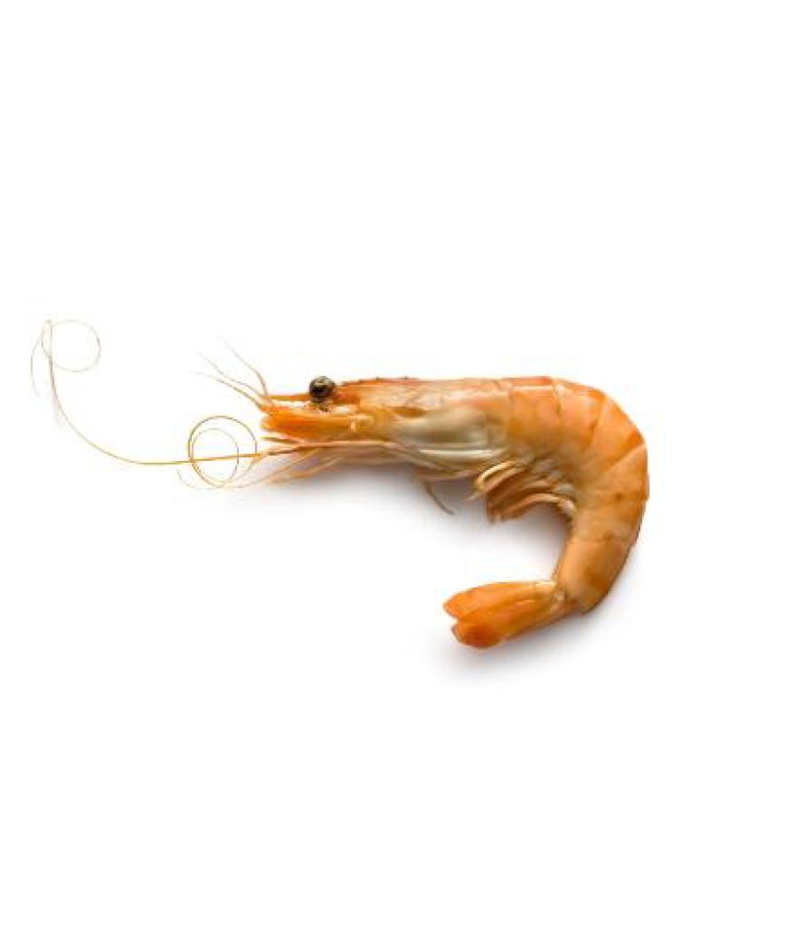 CREVETTE CUITE SOUS ATMOSPHERE CALIBRE 60/80 ELEVAGE EQUATEUR COLIS 2 KG PACK DE 2