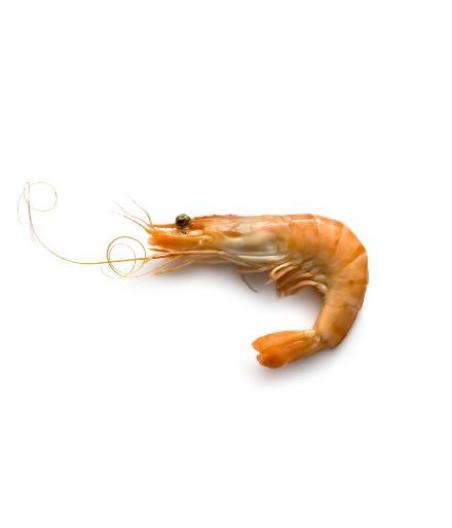 CREVETTE CUITE SOUS ATMOSPHERE CALIBRE 60/80 ELEVAGE EQUATEUR COLIS 2 KG PACK DE 2