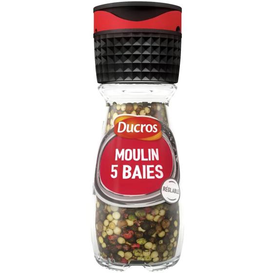 EPICE MOULIN 5 BAIES DUCROS 26G