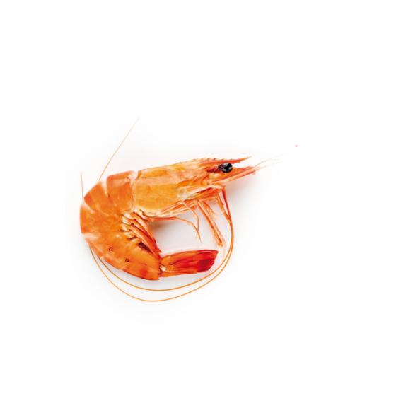 CREVETTE CUITE LABEL ROUGE CALIBRE 40/60 SOUS ATMOSPHERE ELEVAGE MADAGASCAR COLIS 2 KG PACK DE 2