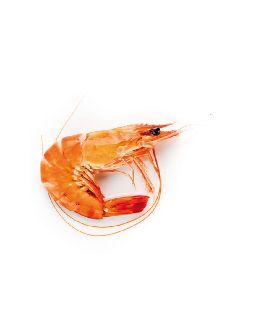 CREVETTE CUITE LABEL ROUGE CALIBRE 40/60 SOUS ATMOSPHERE ELEVAGE MADAGASCAR COLIS 2 KG PACK DE 2