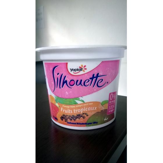 SILHOUETTE AUX FRUITS TROPICAUX 0% MG 500 G