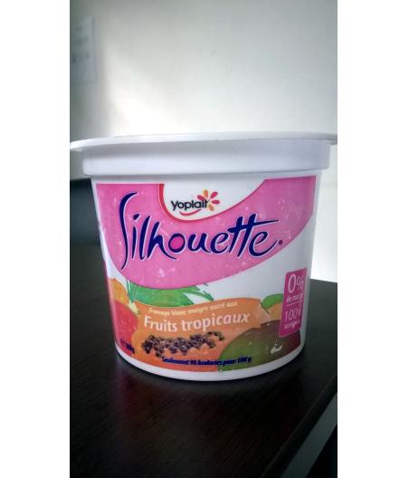 SILHOUETTE AUX FRUITS TROPICAUX 0% MG 500 G