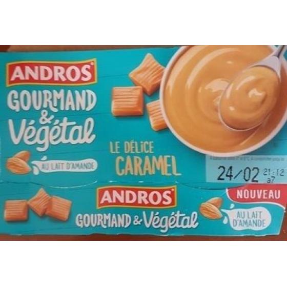 GOURMAND ET VEGETAL CARAMEL 120 G