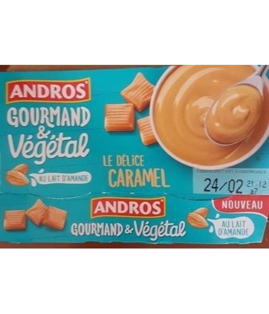 GOURMAND ET VEGETAL CARAMEL 120 G