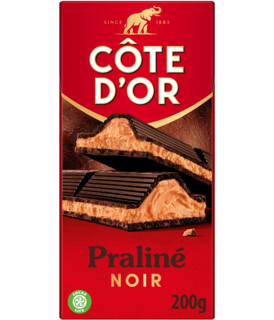 TABLETTE DE CHOCOLAT NOIR PRALINE COTE D'OR 200G