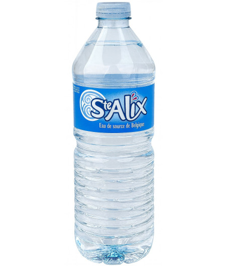 EAU DE SOURCE BELGIQUE  STE ALIX 70CL
