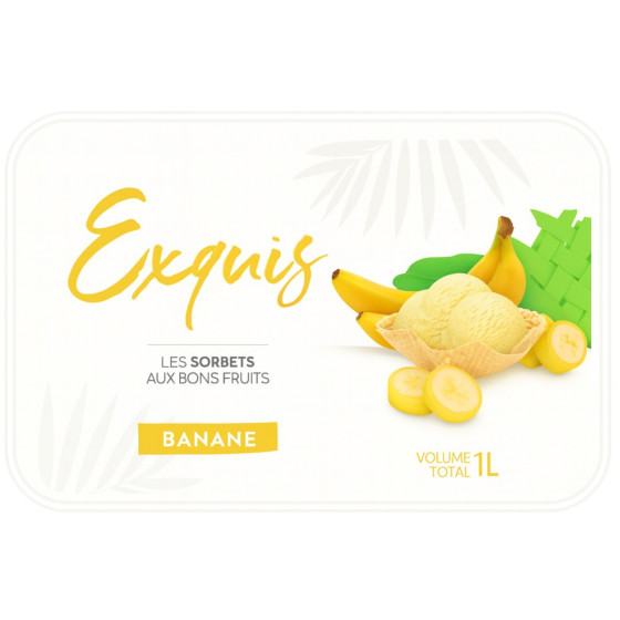 SORBET EXQUIS LAITERIE DE MAYOTTE 590G