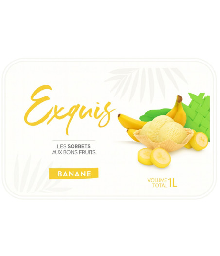 SORBET EXQUIS LAITERIE DE MAYOTTE 590G