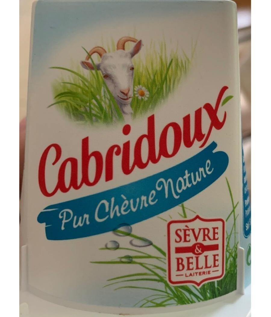 LE CABRIDOUX FROMAGE DE CHEVRE A TARTINER 16% 125G