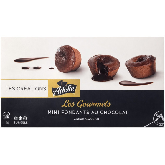 LES GOURMETS MINI FONDANTS AU CHOCOLAT LES CREATIONS 240G