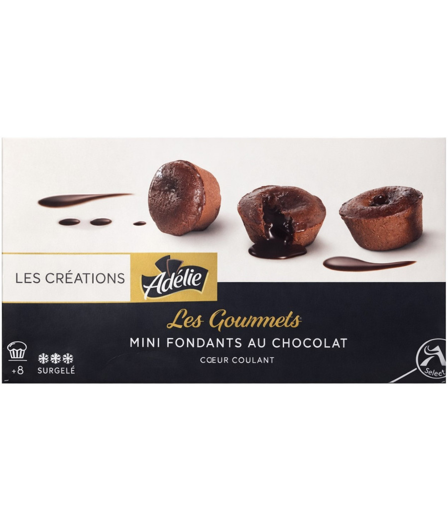 LES GOURMETS MINI FONDANTS AU CHOCOLAT LES CREATIONS 240G