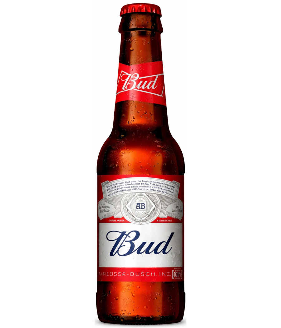 BIERE BUD 25Cl