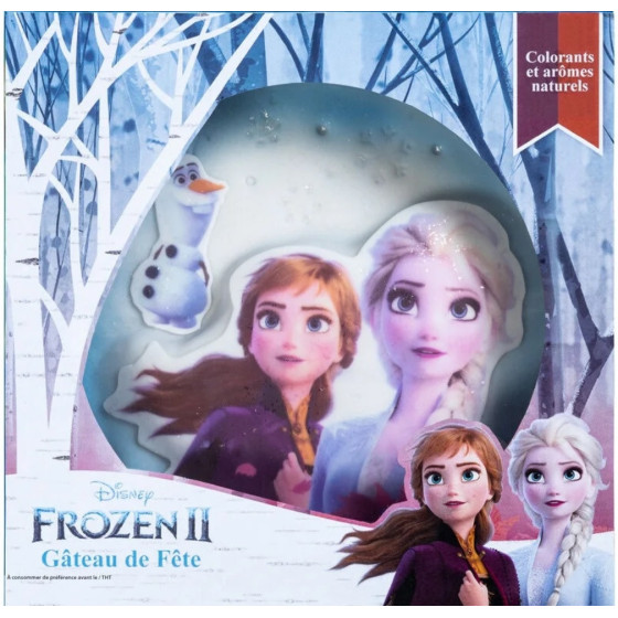 GATEAU 3D LA REINE DES NEIGES 2 LIGHTBODY 915G