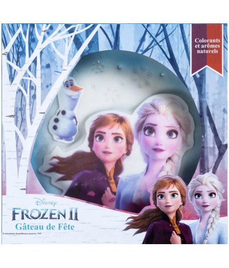 GATEAU 3D LA REINE DES NEIGES 2 LIGHTBODY 915G