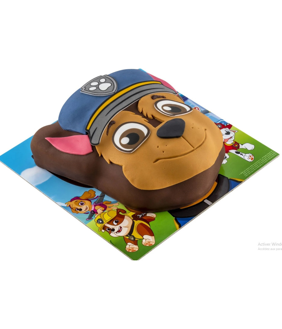 GATEAU 3D PAW PATROUILLE LIGHTBODY 860G