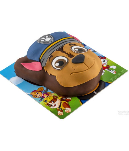 GATEAU 3D PAW PATROUILLE LIGHTBODY 860G