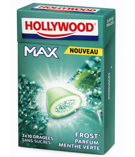 CHEWING-GUM SANS SUCRES PARFUM MENTHE VERTE HOLLYWOOD 20G