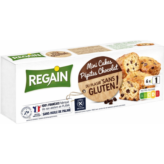 MINI CAKES AUX PEPITES DE CHOCOLAT REGAIN 230G