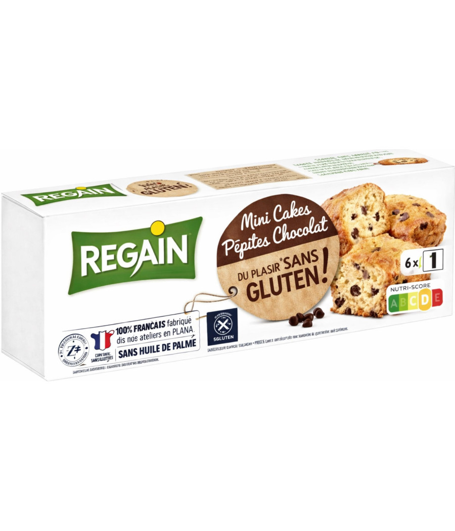 MINI CAKES AUX PEPITES DE CHOCOLAT REGAIN 230G