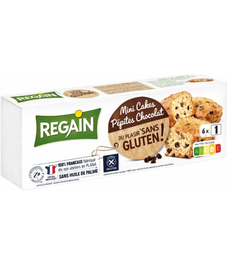 MINI CAKES AUX PEPITES DE CHOCOLAT REGAIN 230G