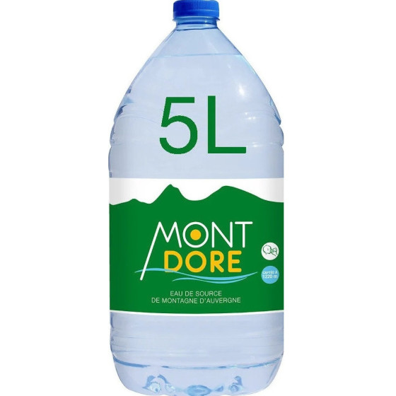 EAU DE SOURCE MONT DORE 5L