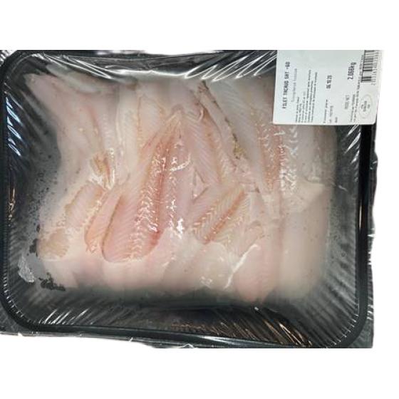 FILET DE TACAUD SOUS ATMOSPHERE PECHE EN ATLANTIQUE NORD-EST