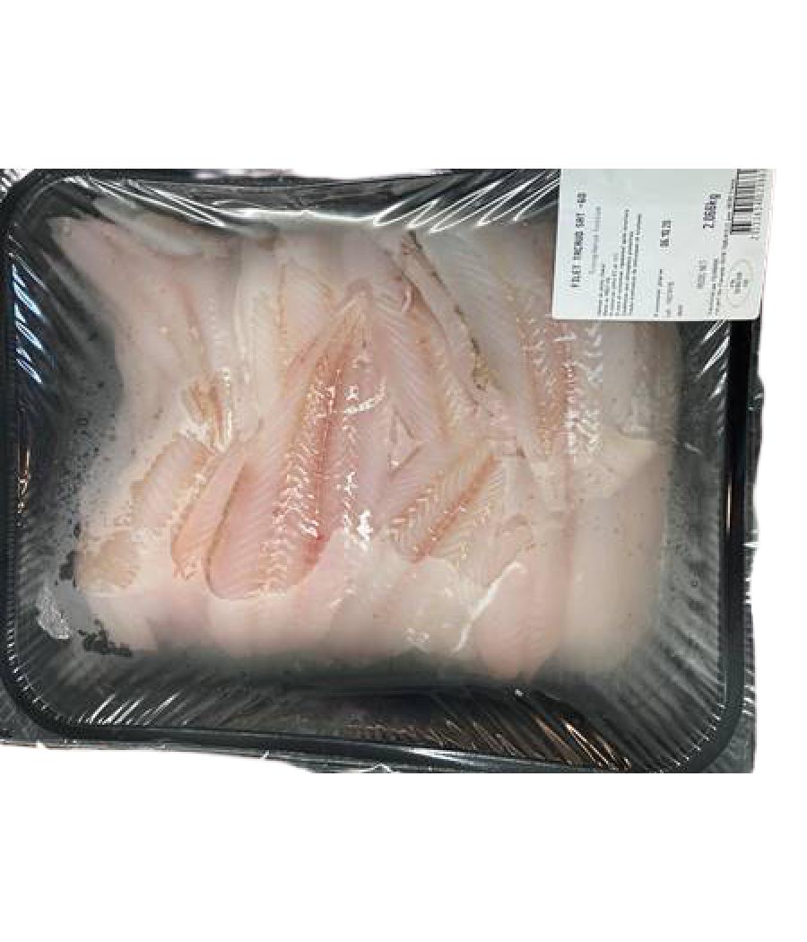 FILET DE TACAUD SOUS ATMOSPHERE PECHE EN ATLANTIQUE NORD-EST