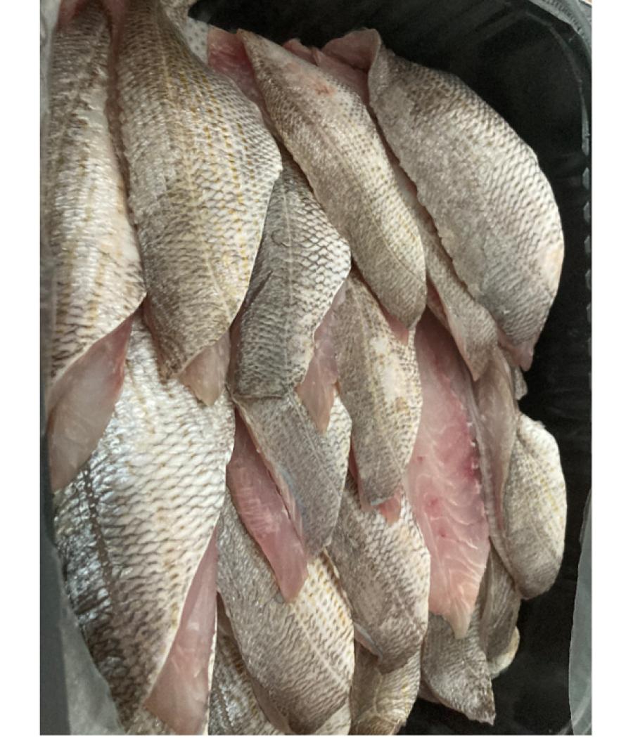 FILET DE DORADE GRISECALIBRE 30/+: OCEAN ATLANTIQUE NORD-EST PACK DE 2