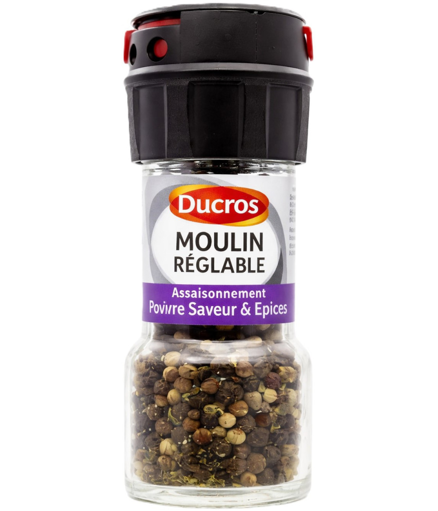 POIVRE SAVEUR ET EPICES ASSAISONNEMENT DUCROS 30G