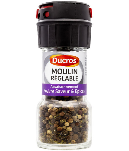 POIVRE SAVEUR ET EPICES ASSAISONNEMENT DUCROS 30G