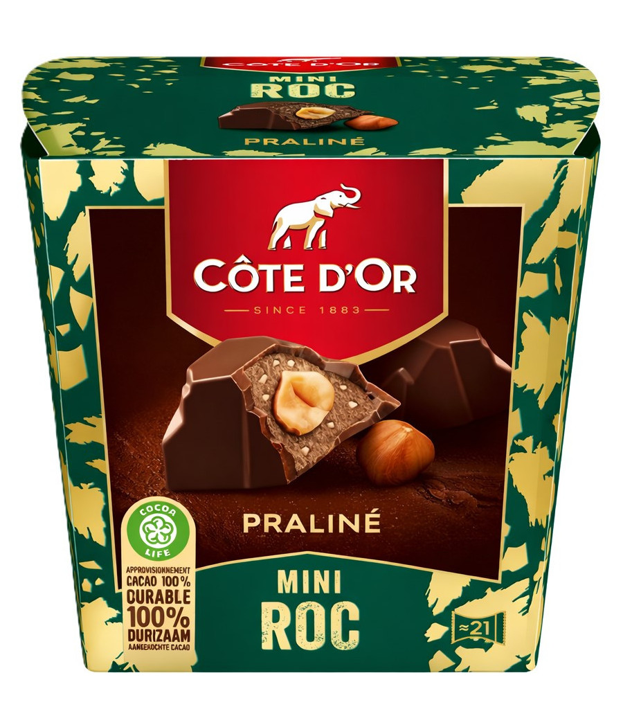 CHOCOLAT PRALINE MINI ROC COTE D'OR 195G