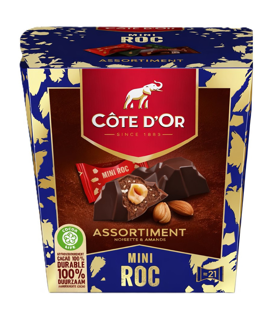 ASSORTIMENT CHOCOLATS MINI ROC CÔTE D'OR 195G